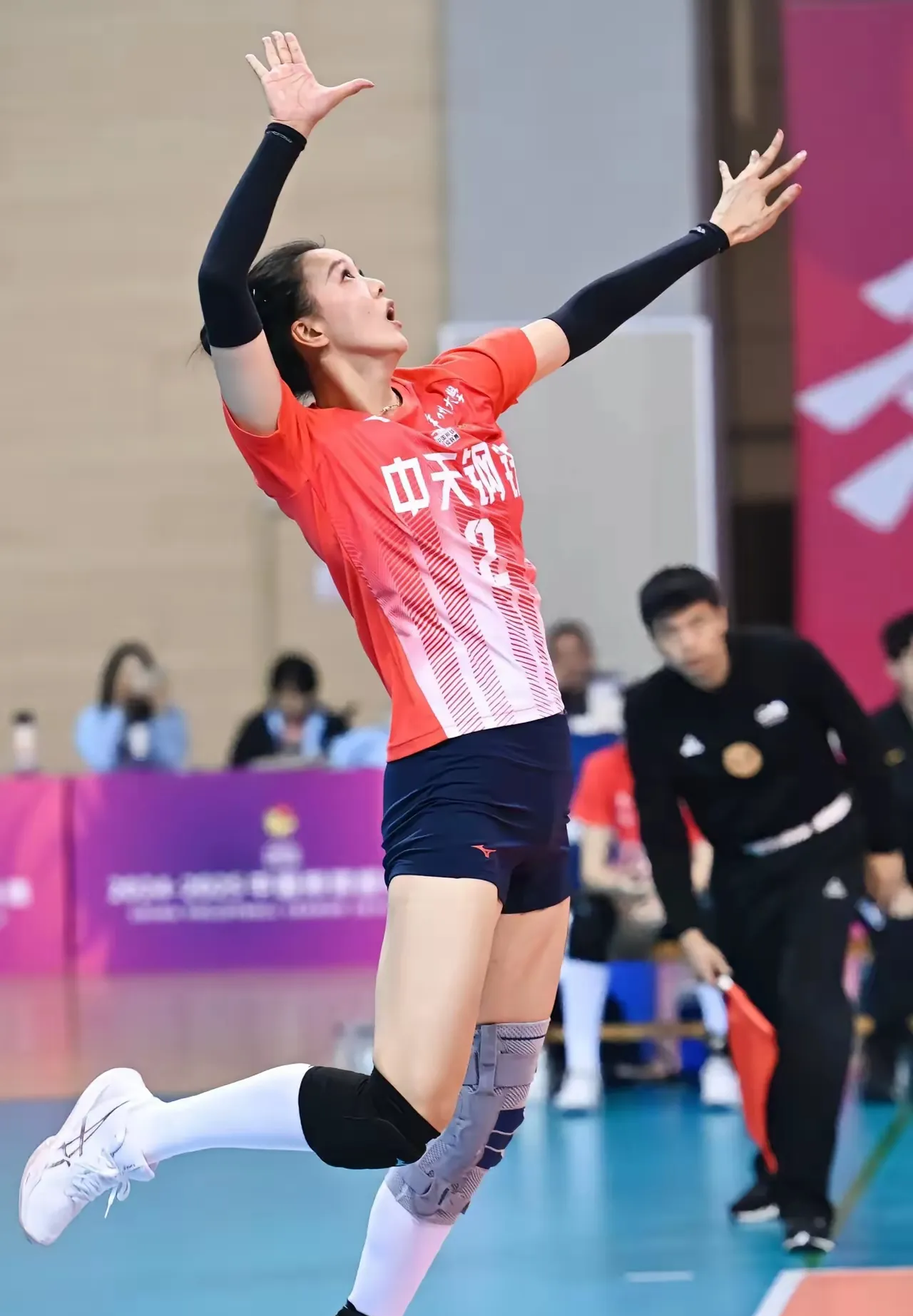 关于排球再创历史，冠军实至名归的信息