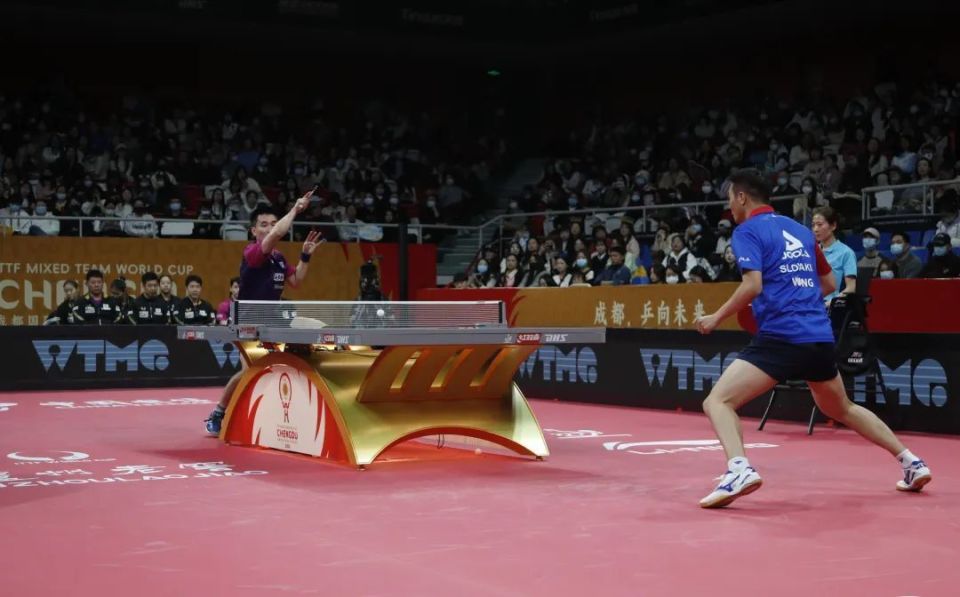 韩国队逆转中国队,张本智和带队取胜 韩国队逆转中国队,张本智和带队取胜