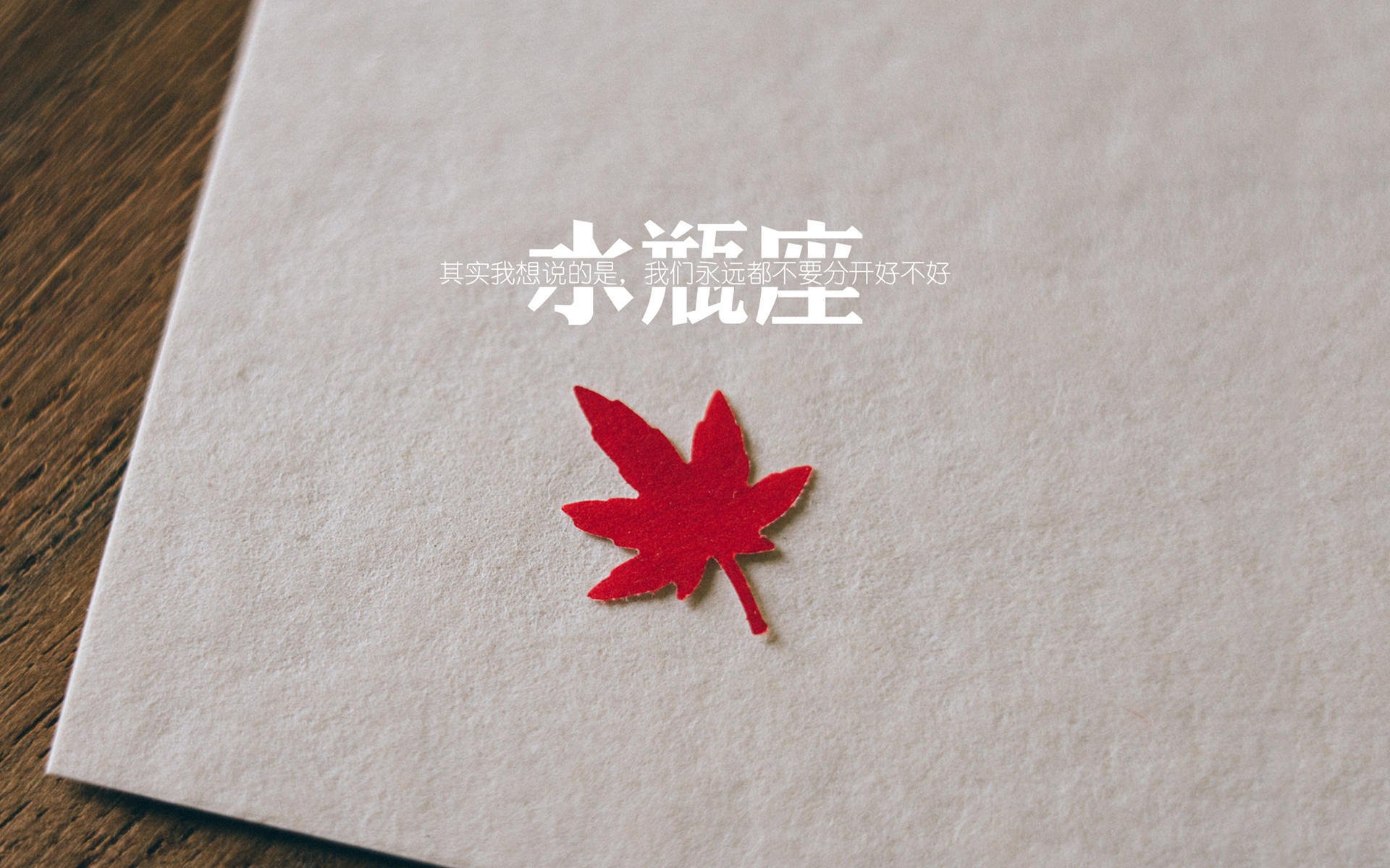 霍勒迪一剑封喉!上海队主场力克独行侠