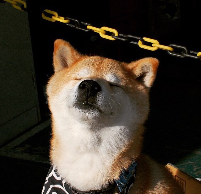 绝地反击,石宇奇关键制胜助泰国队险胜印尼,团体赛再现个人英雄主义