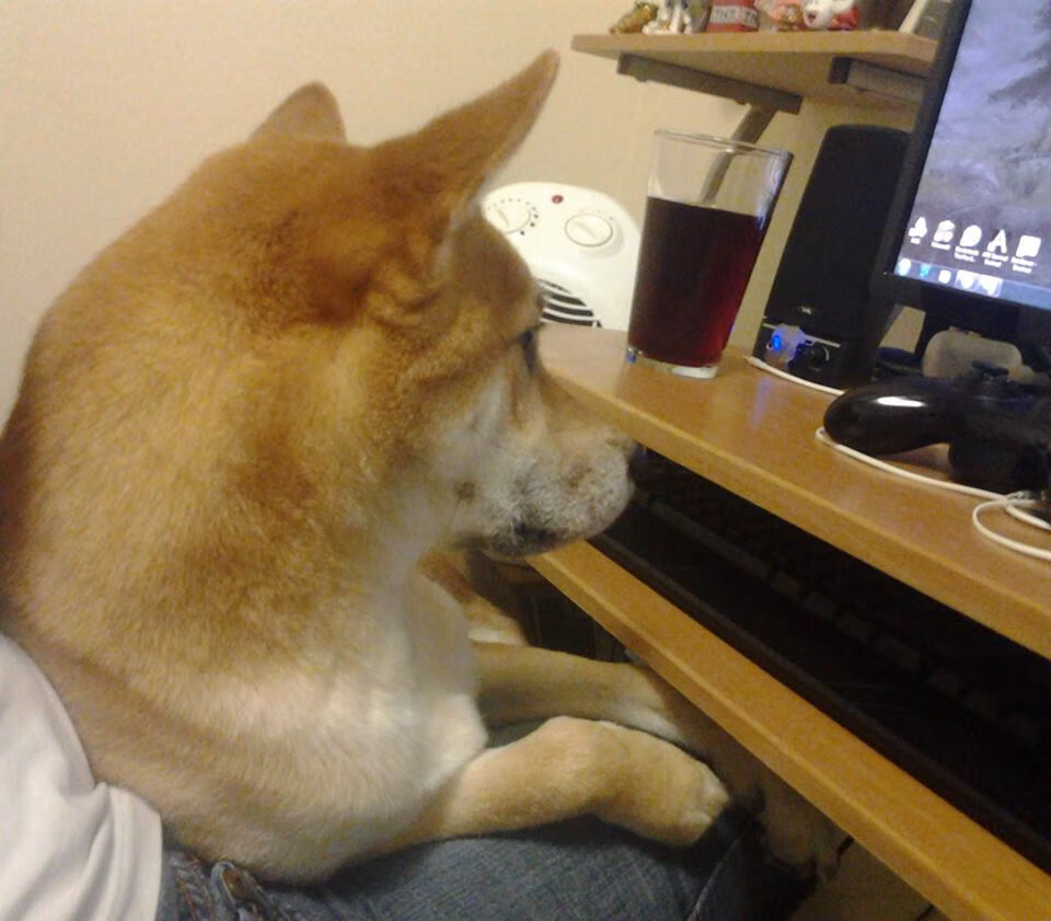 篮筐下的绿茵幽灵,当萨拉赫在NBA季后赛之夜降临