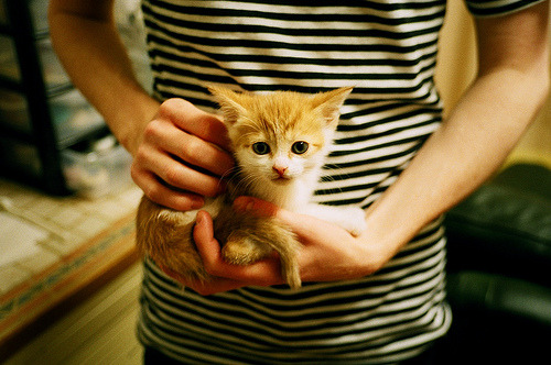 米切尔点燃自我救赎焰火,尼克斯狂飙速胜鹈鹕