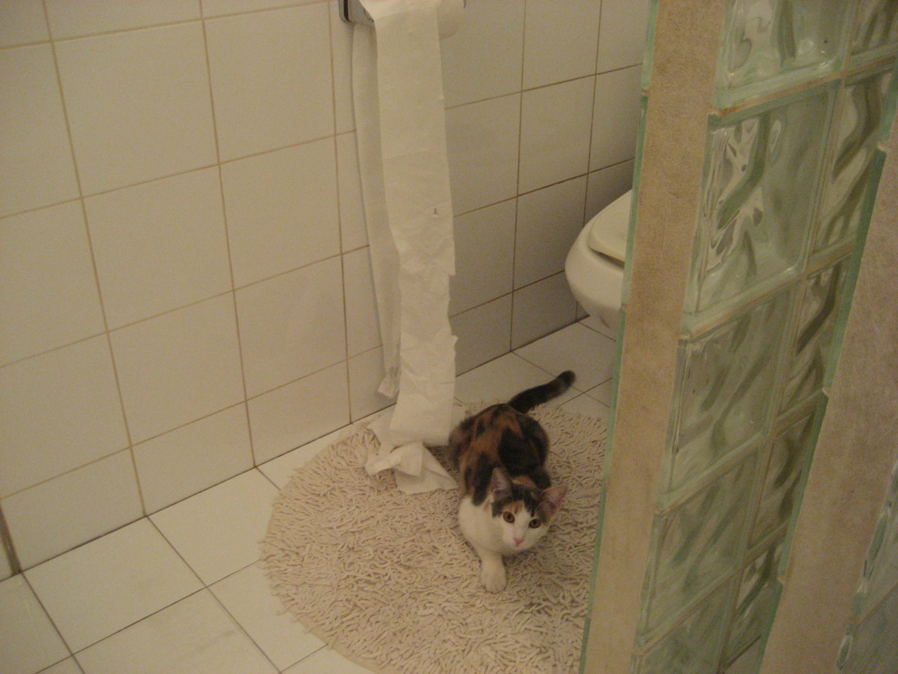 极速平行线，F1揭幕战的引擎轰鸣与英格拉姆的致命撕裂