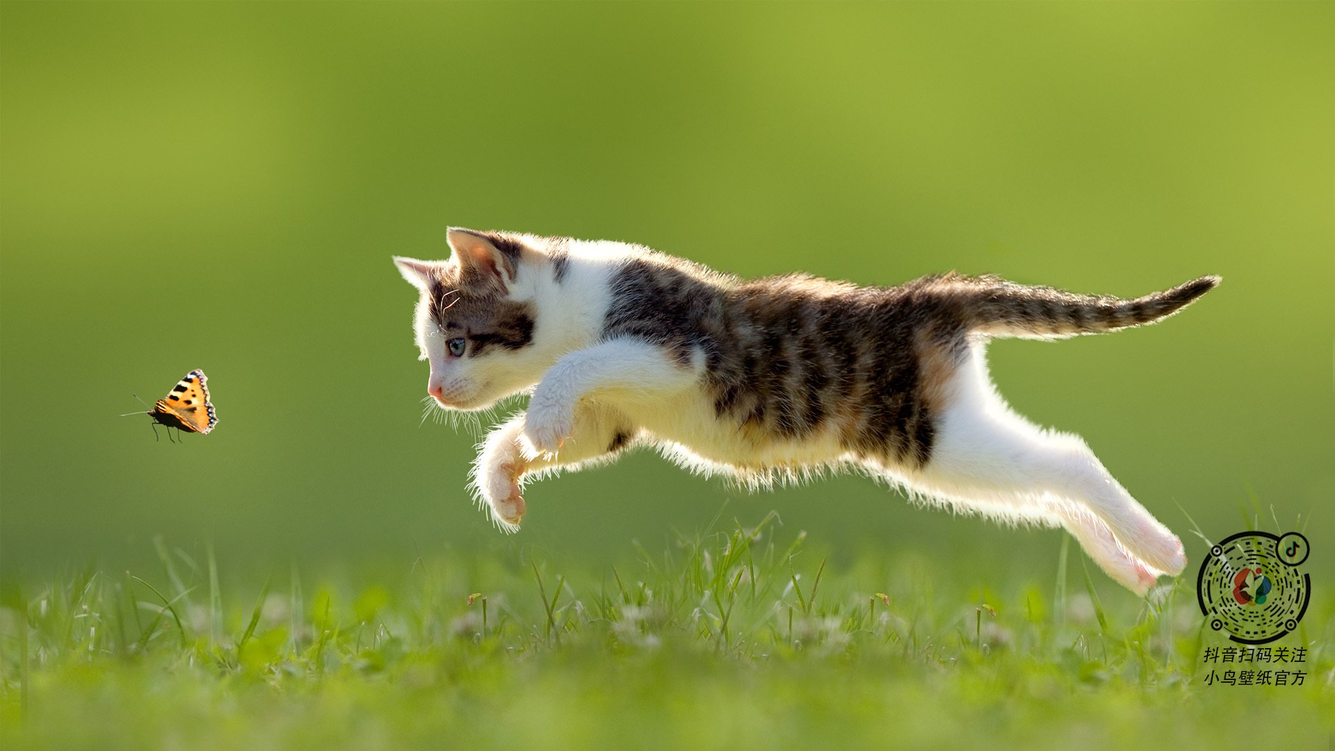 双重奇迹，当篮球场上演逆转与欧冠赛场见证接管