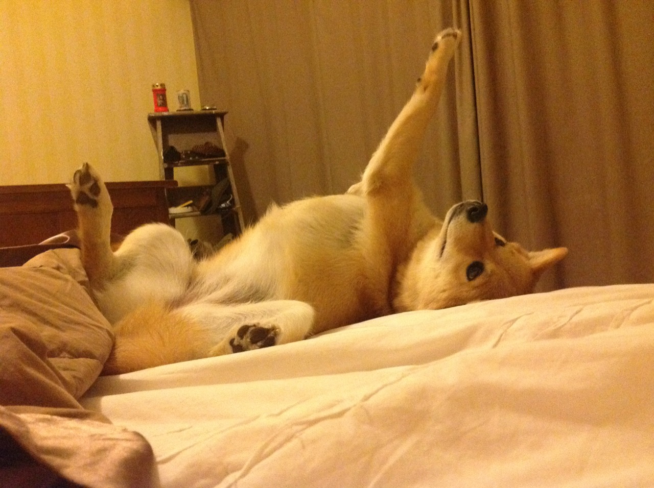 搏命之战，比利亚雷亚尔钢铁防线突围，布雷默化身关键先生斩落皇家社会