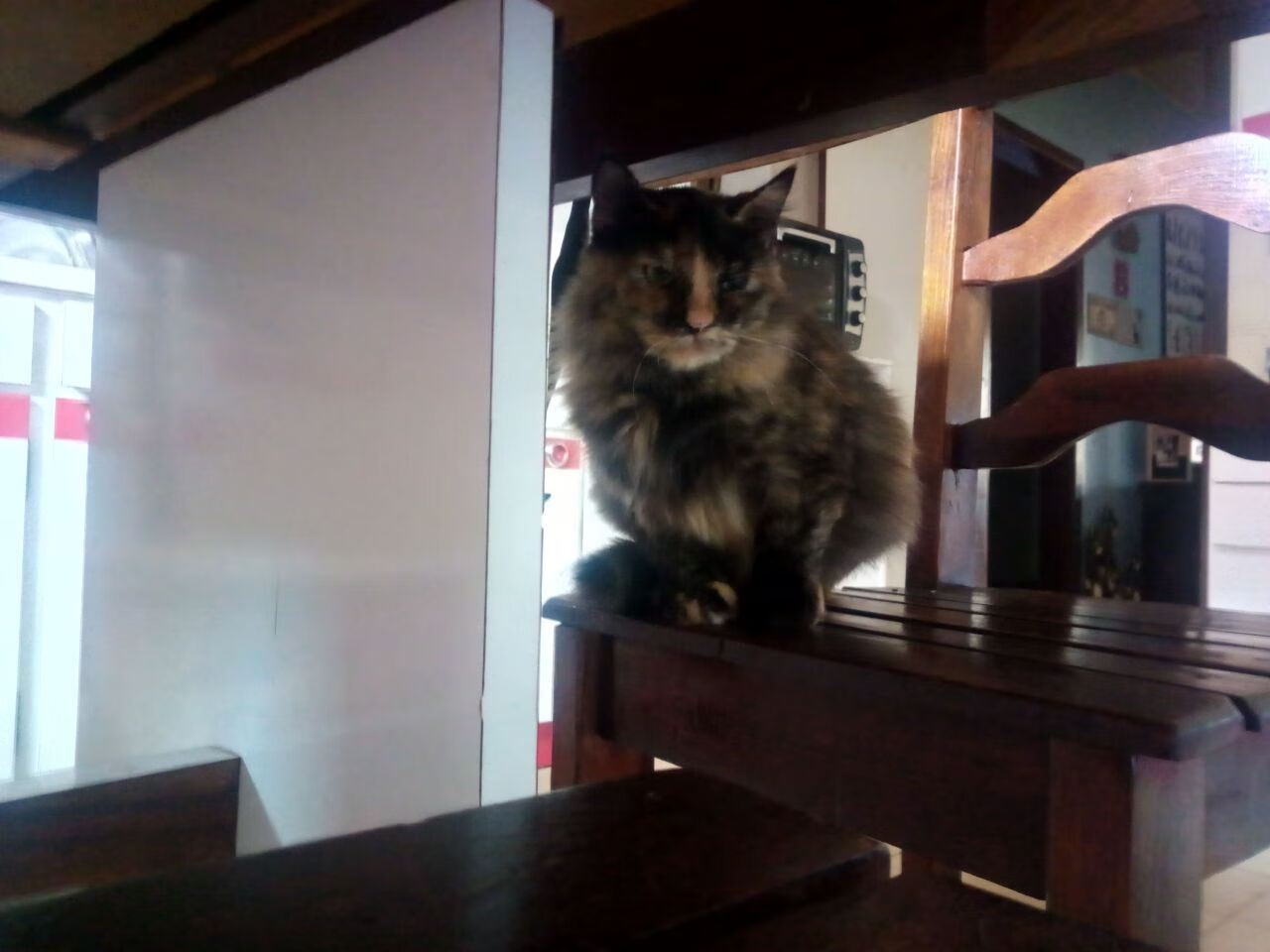 温哥华的雪落进塞纳河,加拿大绝杀巴黎,卡塞米罗成为关键先生的唯一剧本