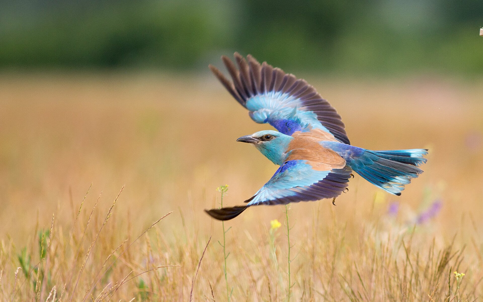 刀光与神迹，欧冠决赛夜的最后一毫米