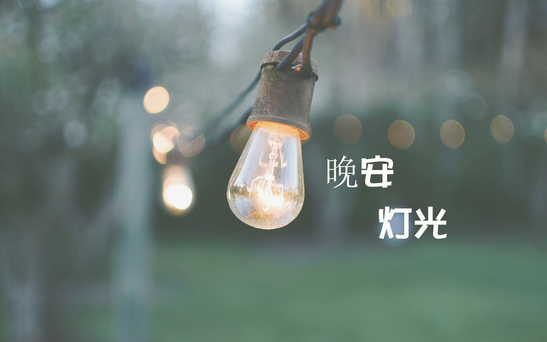 星条旗破东欧铁壁,坎塞洛璀璨之夜,美国队在2026世界杯H组强强对话中击溃斯洛伐克